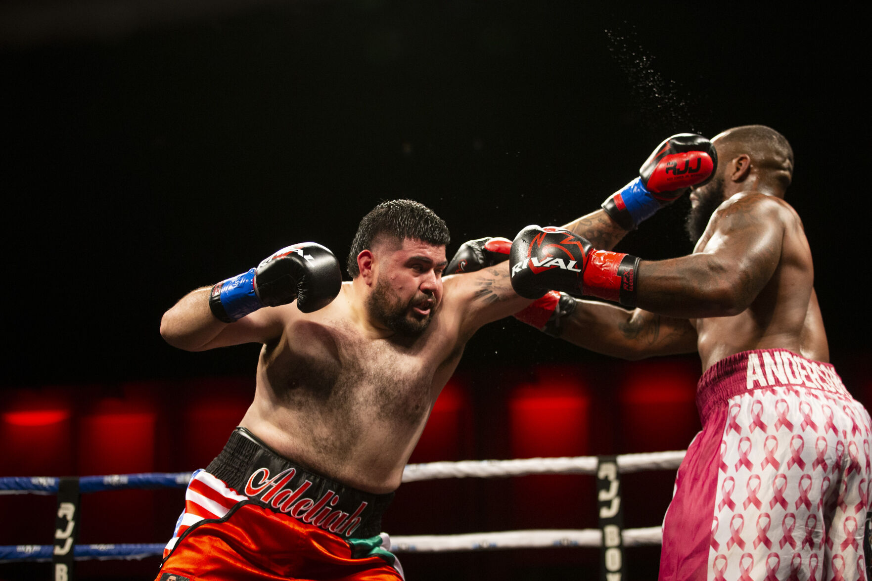Roy Jones Championship Boxing
